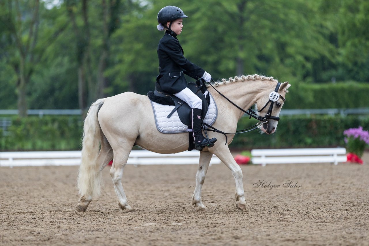 Bild 34 - Pony Akademie Turnier